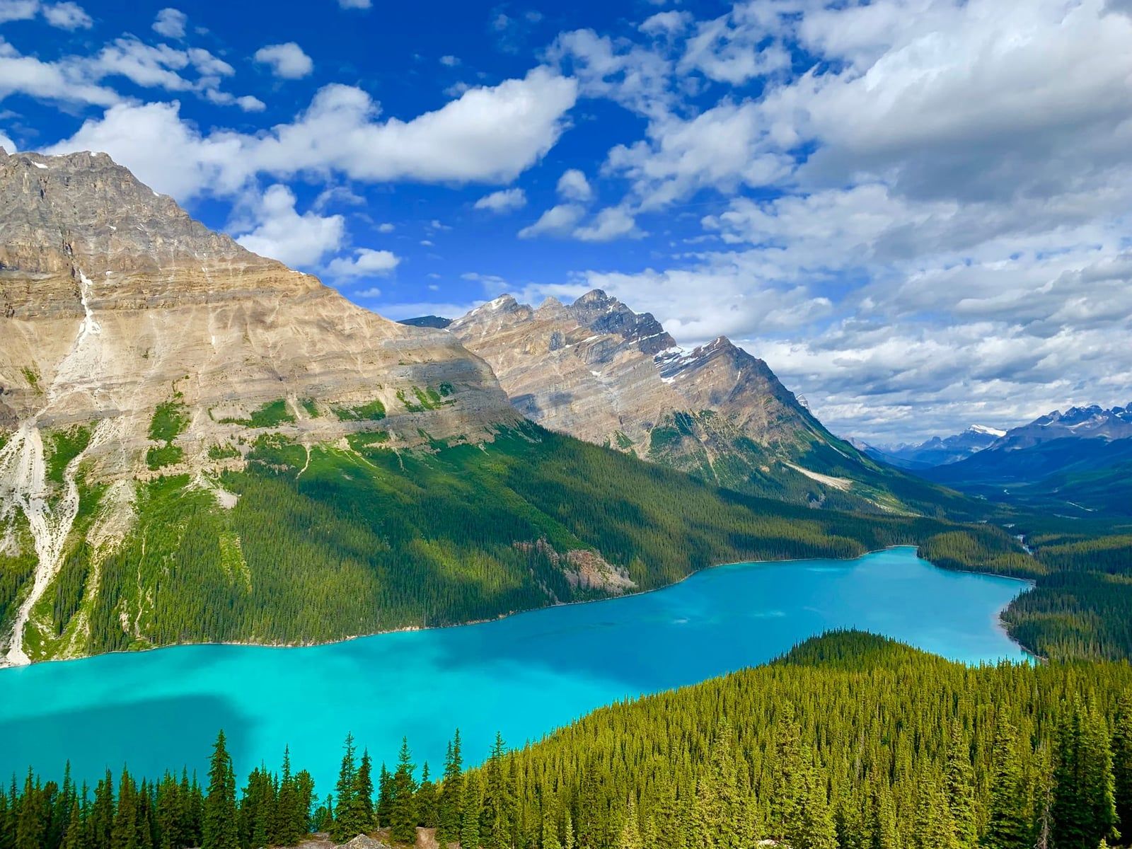 Das türkisfarbene Wasser des Peyto Lake breitet sich durch ein bewaldetes Tal entlang des Icefields Parkway zum Jasper-Nationalpark aus.