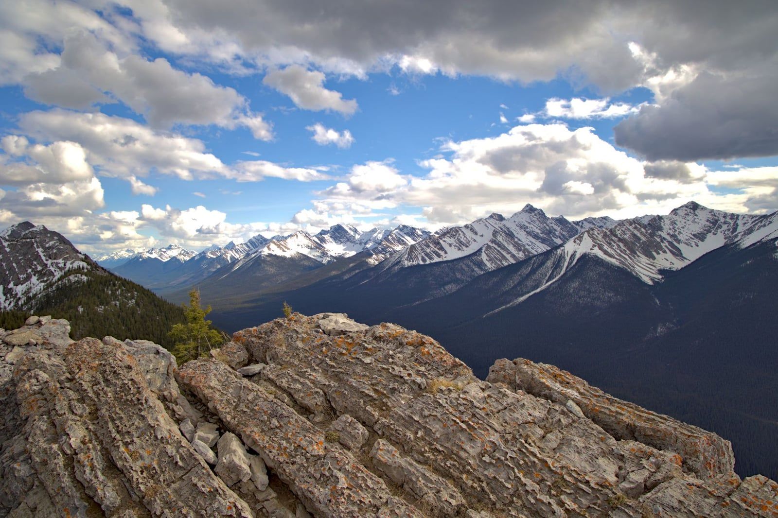 Rugged rocky ridges overlook snow-dusted mountain ranges and forested valleys from the Sulphur Skyline Trail in Jasper National Park.