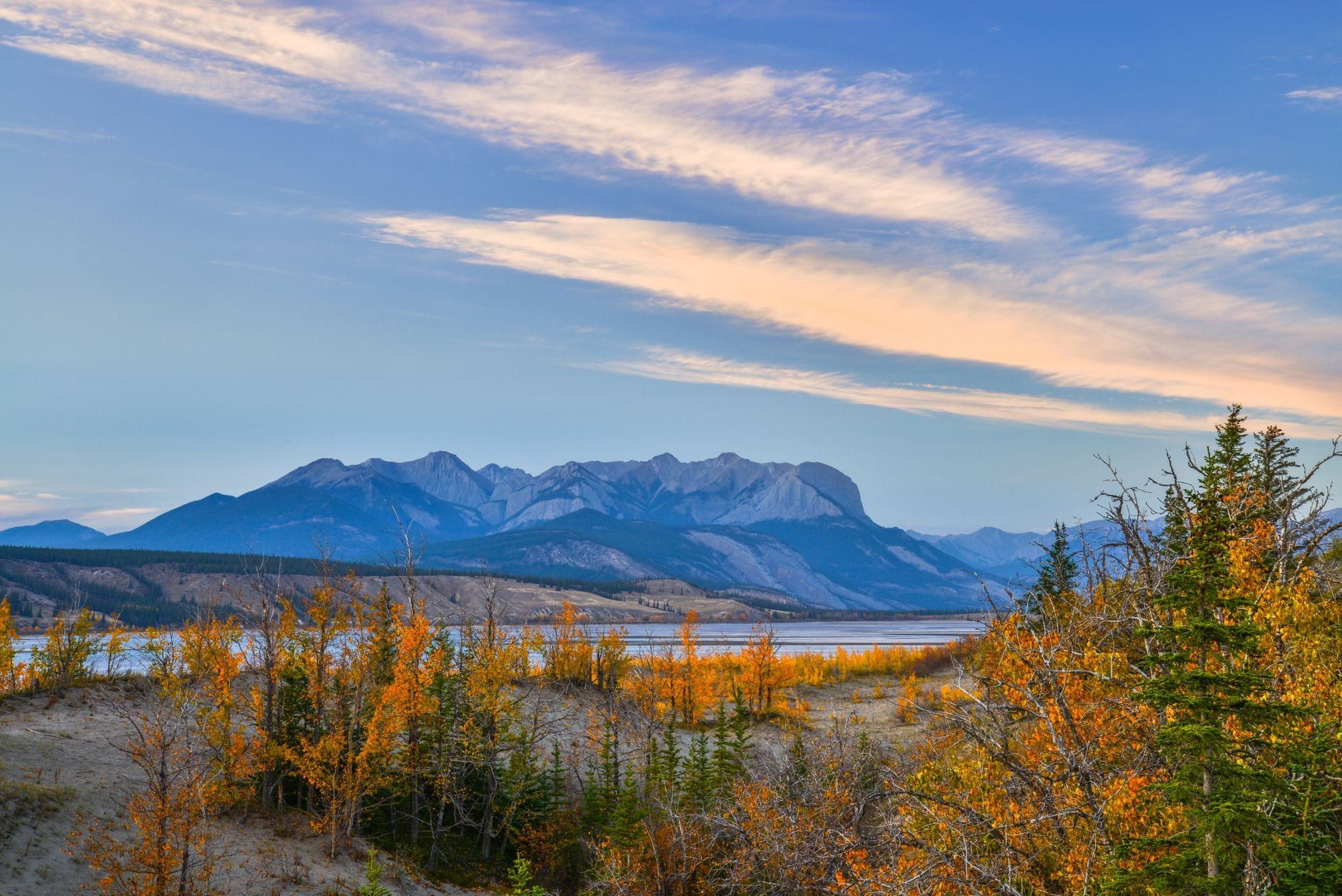 Golden autumn foliage overlooks a wide river valley and mountain range in Jasper National Park.