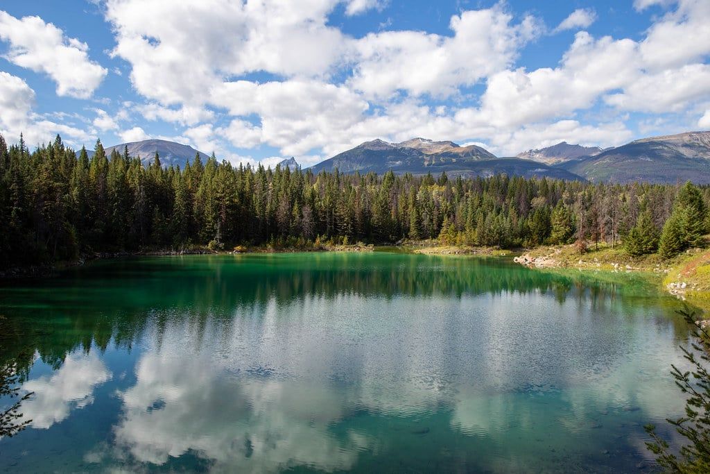 Agua turquesa de un lago a lo largo del sendero del Valle de los Cinco Lagos en el Parque Nacional Jasper, bordeado por bosque de pinos bajo un cielo parcialmente nublado.