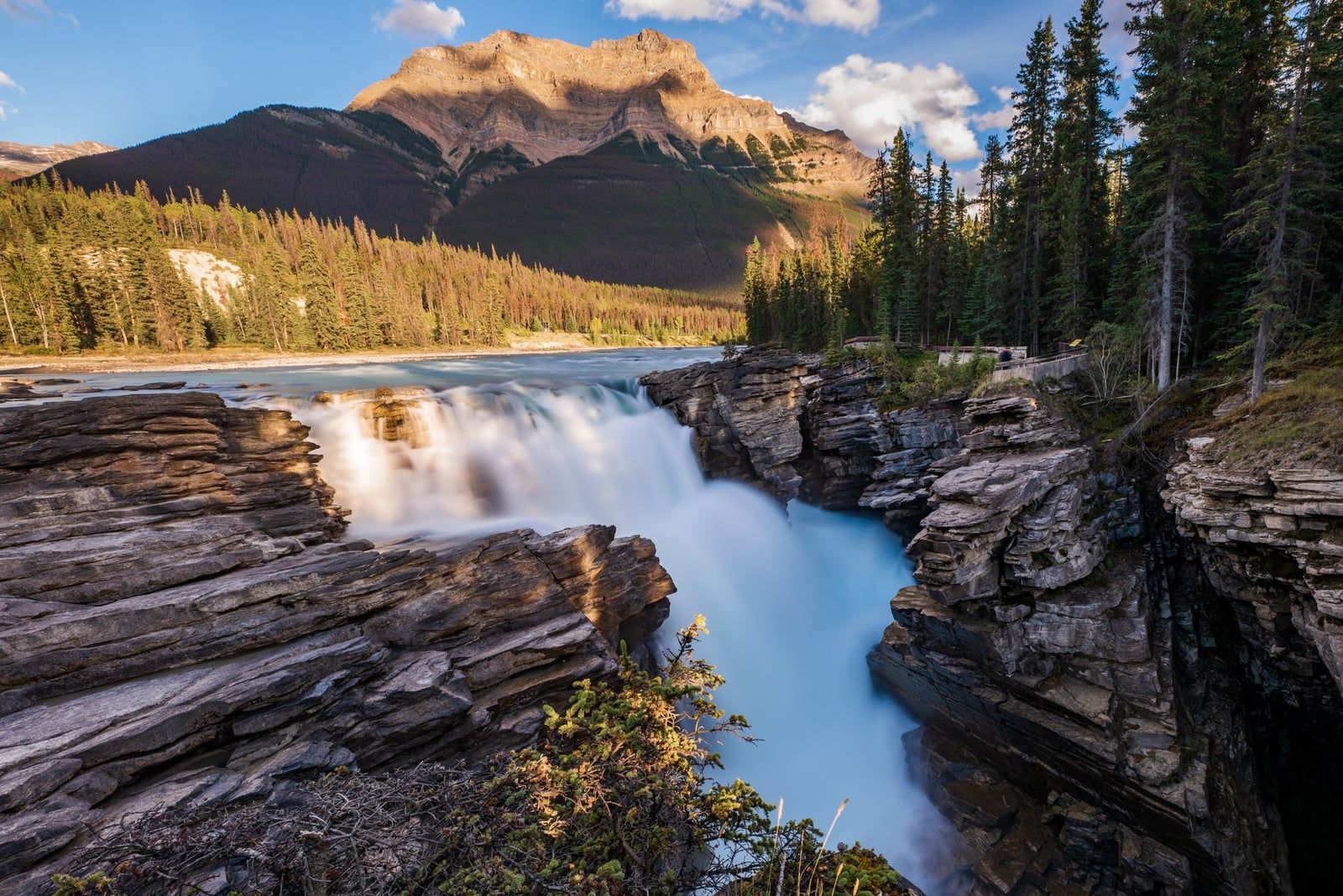 Las cascadas Athabasca caen sobre formaciones rocosas estratificadas bajo el monte Kerkeslin en el Parque Nacional Jasper.