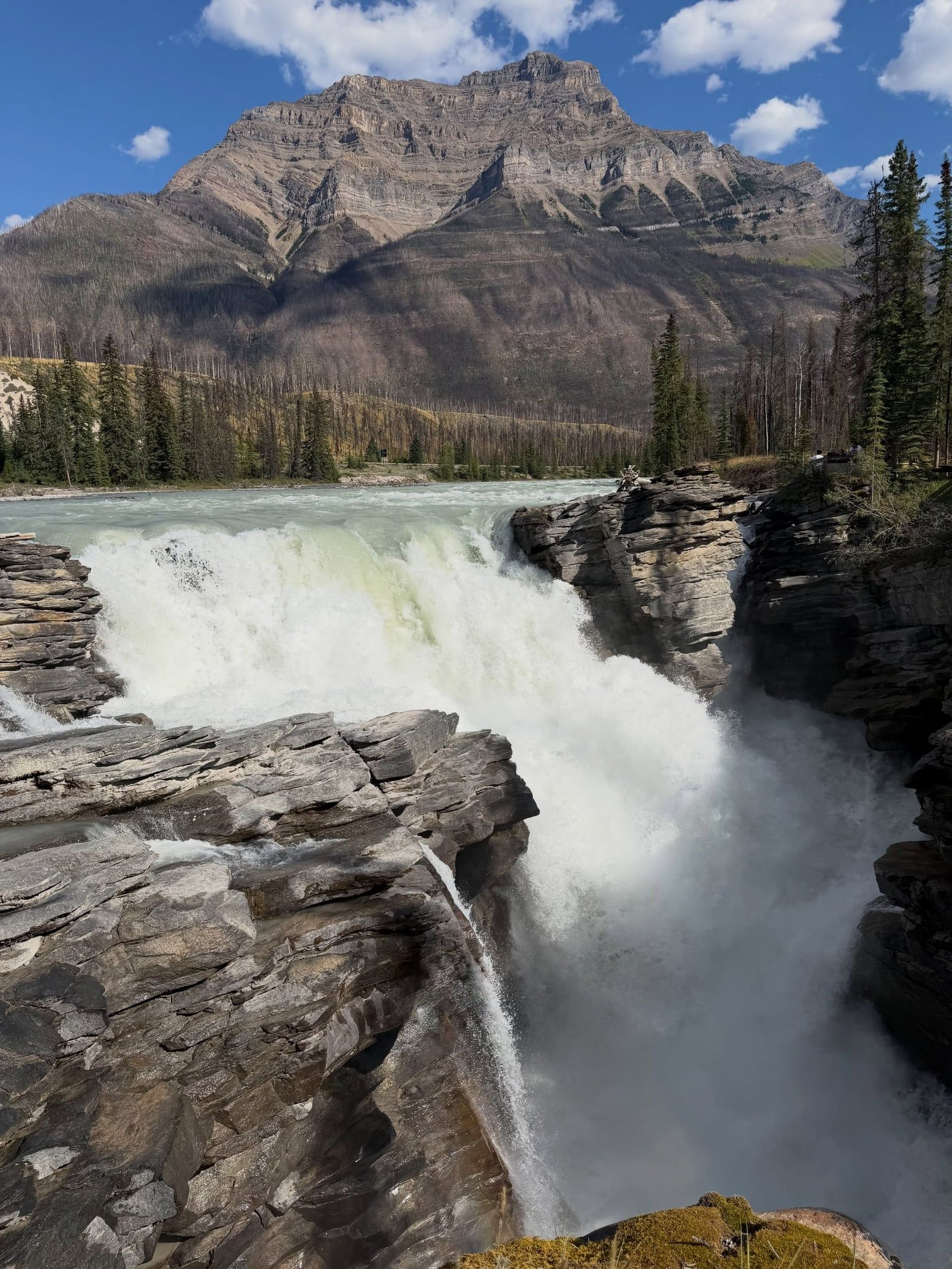 Jasper National Park uitzicht