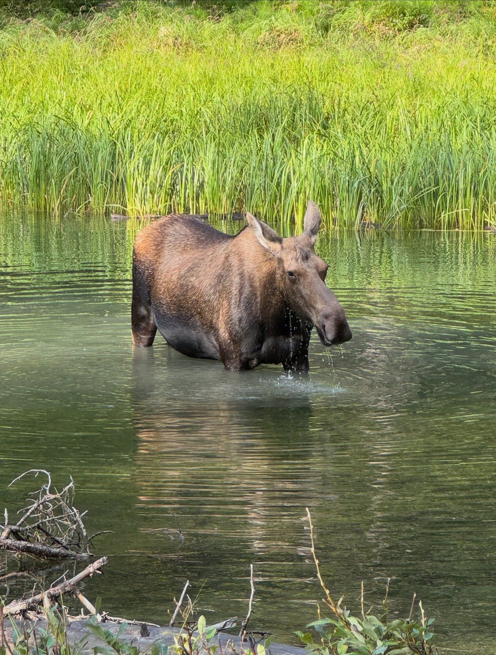 Jasper-Nationalpark Tour-Besucherfoto